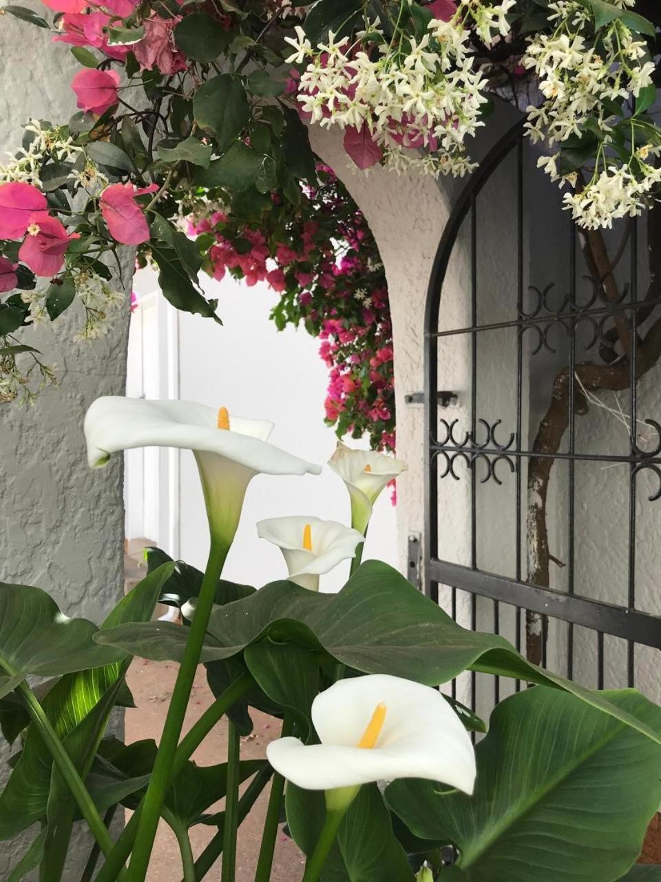 Bagley Terrace 136 Cottage Йоханнесбург Экстерьер фото